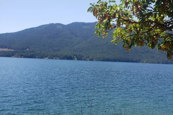photo of Lake Cushman