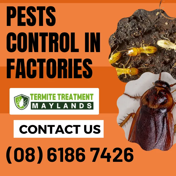 pest-solutions-for-factories-warehouses