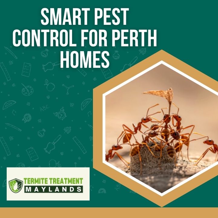 Pest control in Perth homes protecting health and preventing property damage