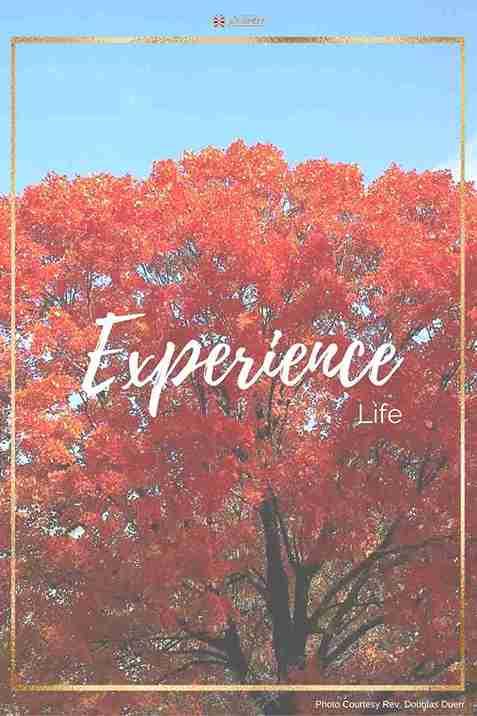 Experience Life