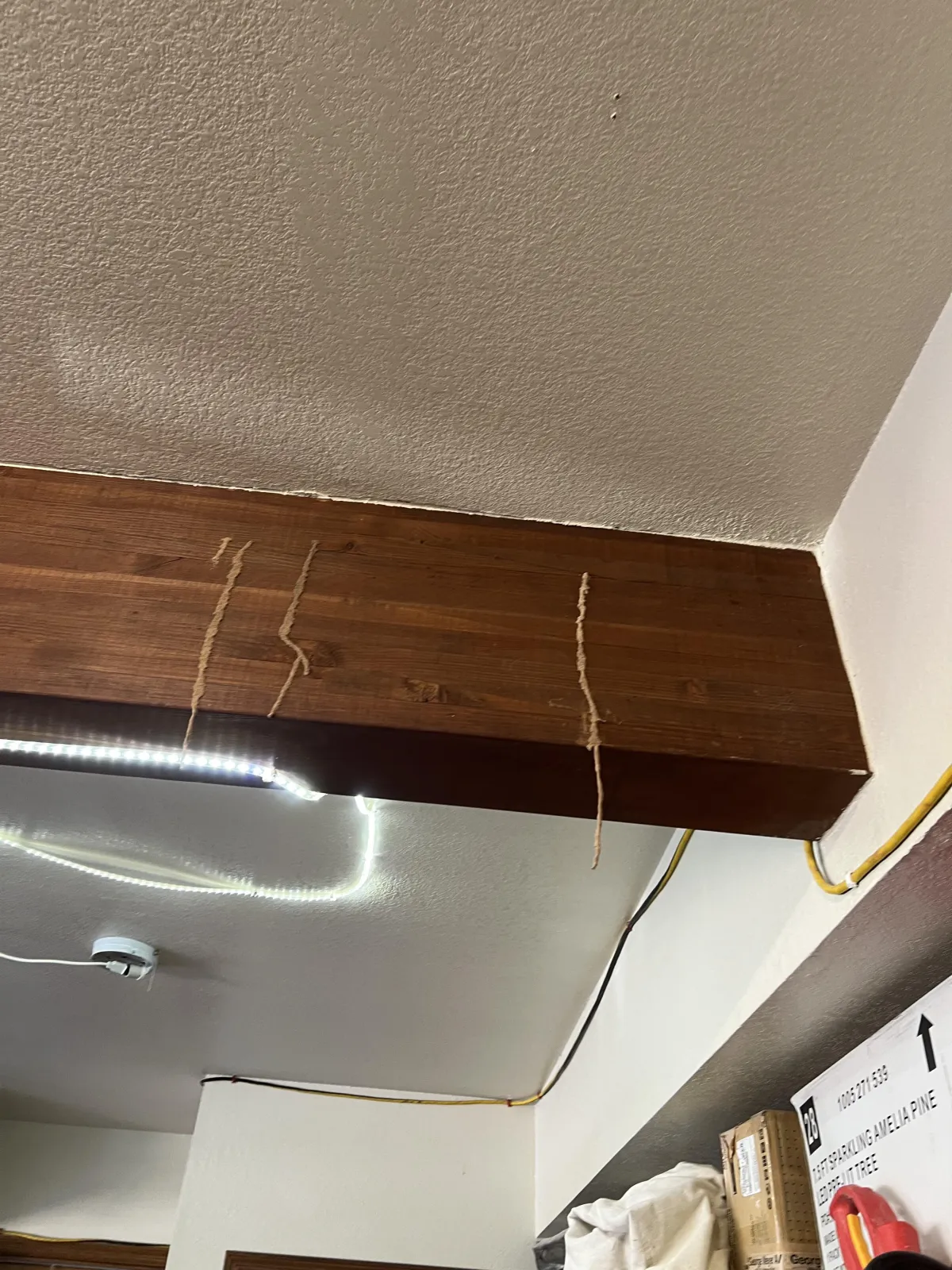 Termite mud tubes hanging from an exposed interior wooden beam, indicating active termite activity inside a home.