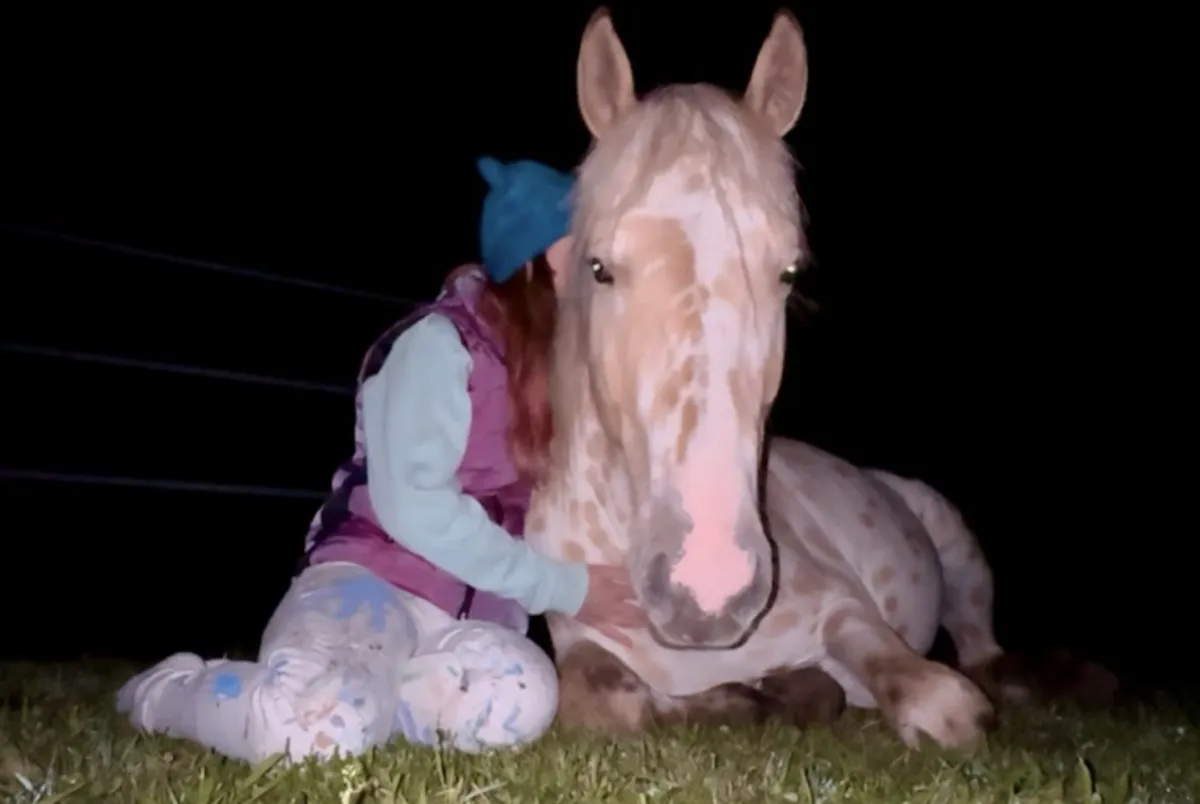 This Isn’t the Wrong Horse—It’s the Right Lesson