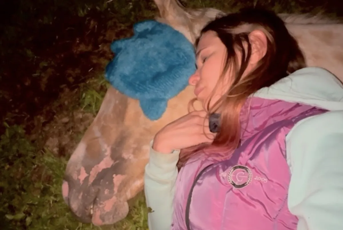 Is My Horse Sick... or Just Safe?