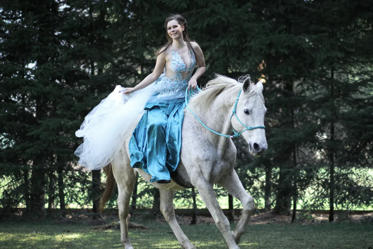 Your Horse Is a Mirror: What They’re Really Showing You About Yourself