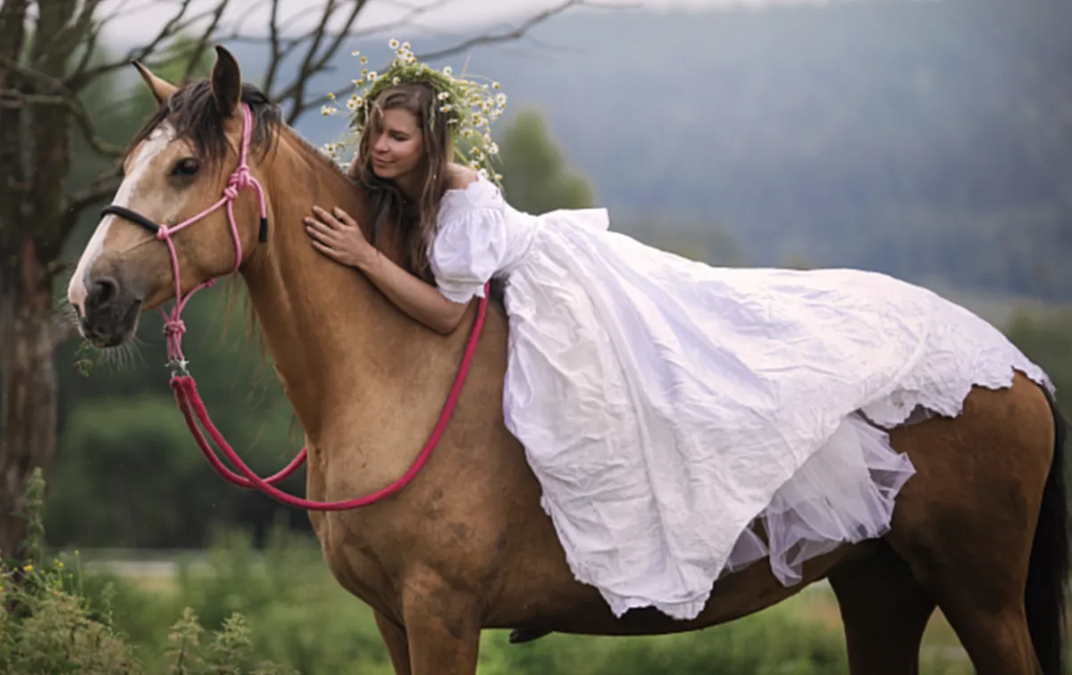 When the Horse Becomes the Housewife