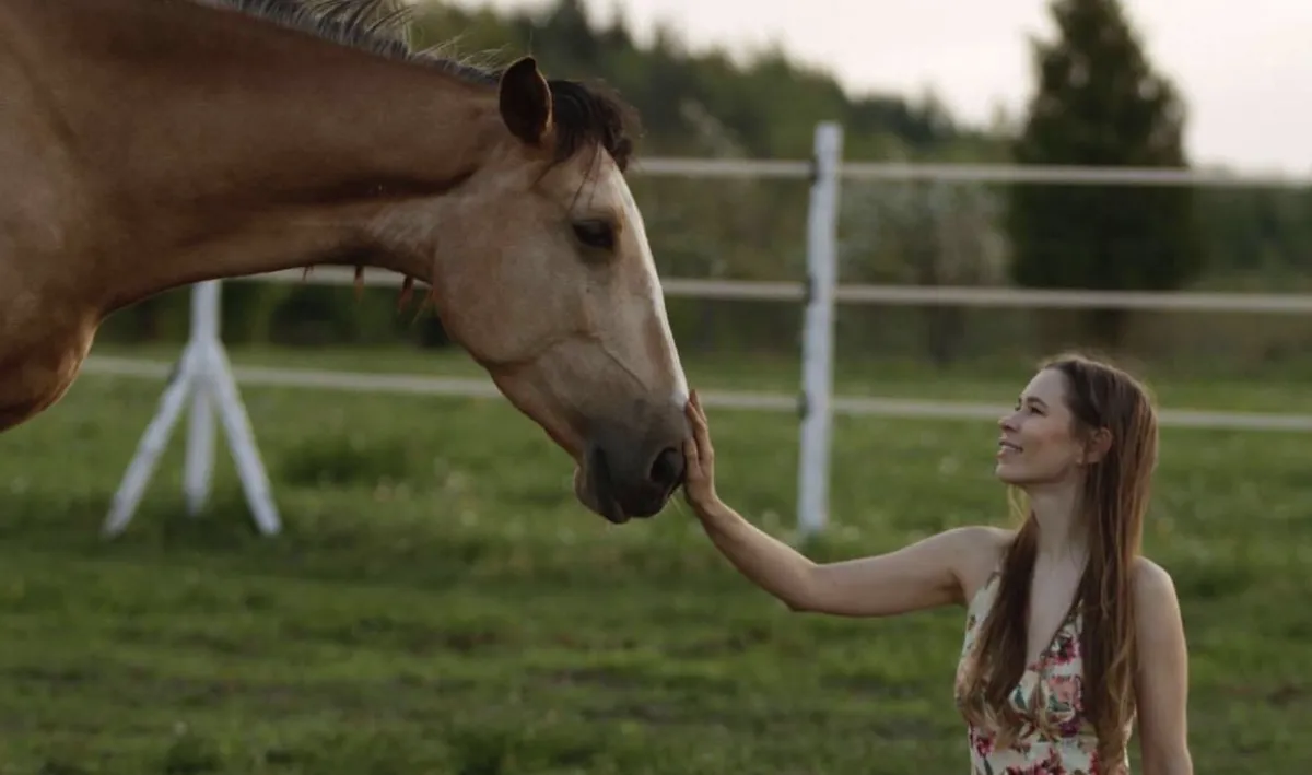 Why You Attract the Horse You Need