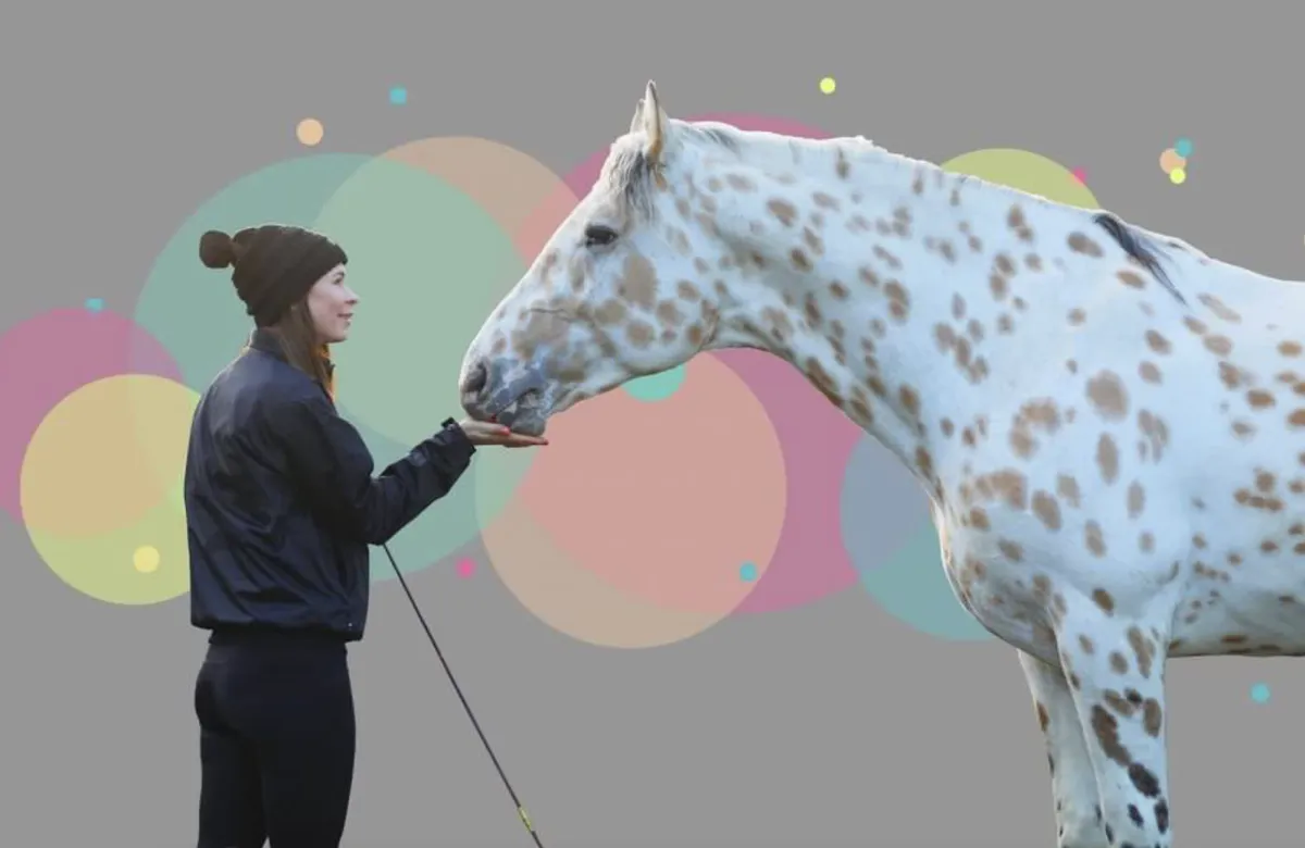 When Your Horse Mirrors Your Hidden Emotions