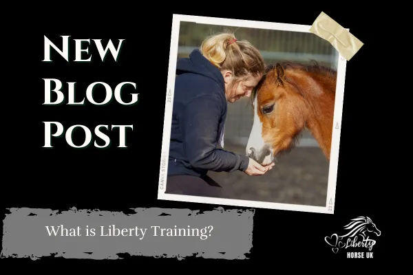 What is liberty training