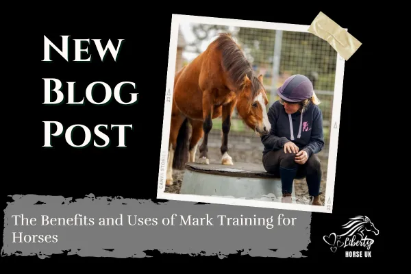 mark training for horses