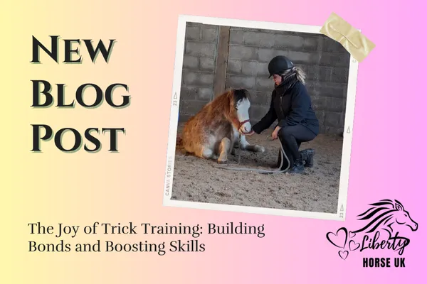 Horse Trick Training