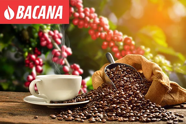 Bacana Coffee Recipe