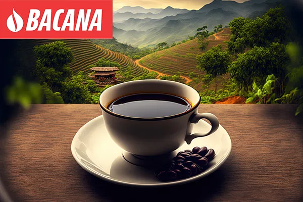 Bacana Coffee Cup of Lion's Mane and Changa