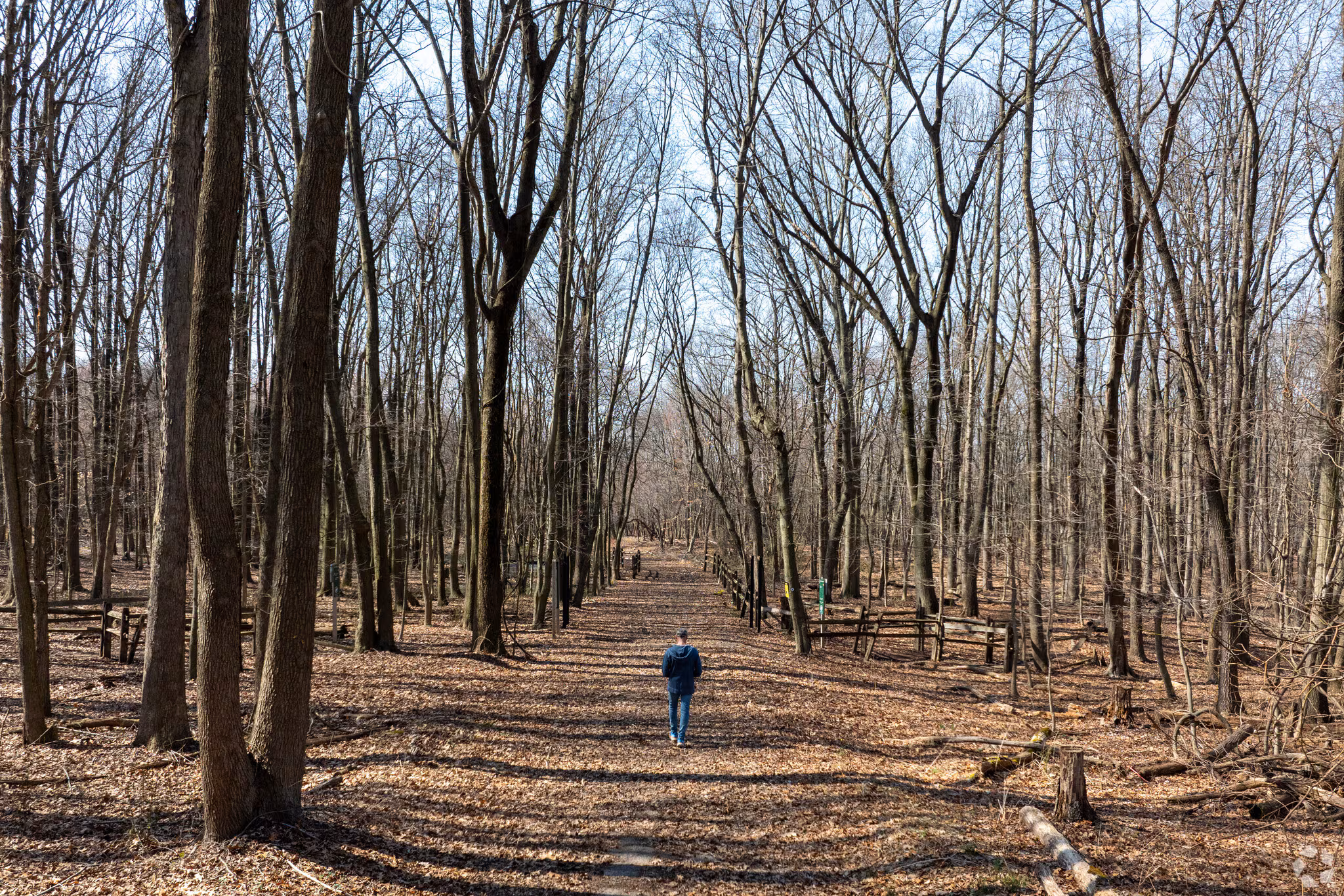 Woodrow, Staten Island, NY