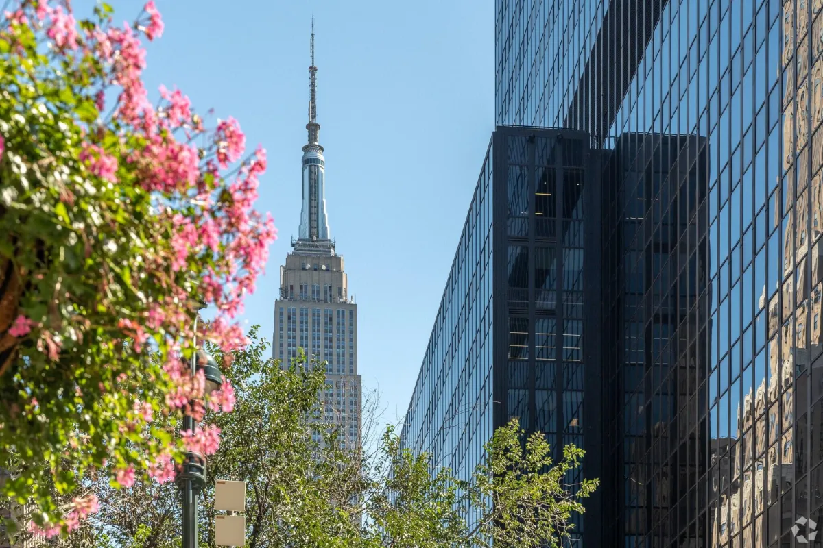 Midtown South