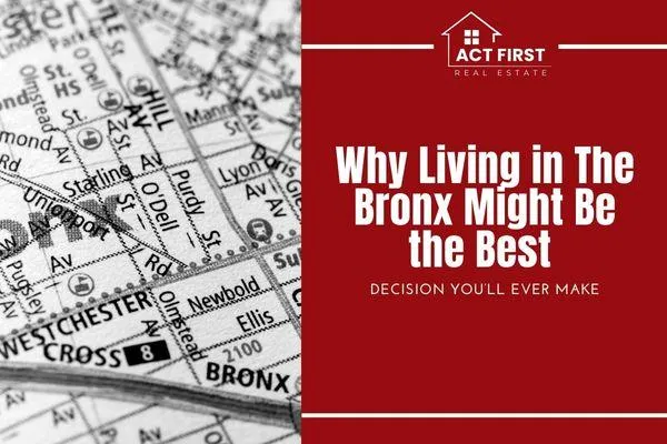 Why Living in The Bronx Might Be the Best Decision You’ll Ever Make

