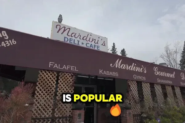 Dine in Menlo Park: Discover the Hidden Gem of Mardini’s Deli Cafe Serving Seriously Good Mediterranean Food
