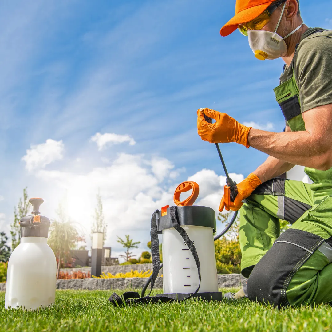 Protecting Your Home: The Importance of Termite and Pest Control