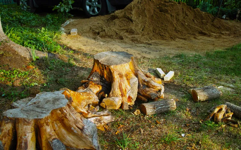 stump grinding service