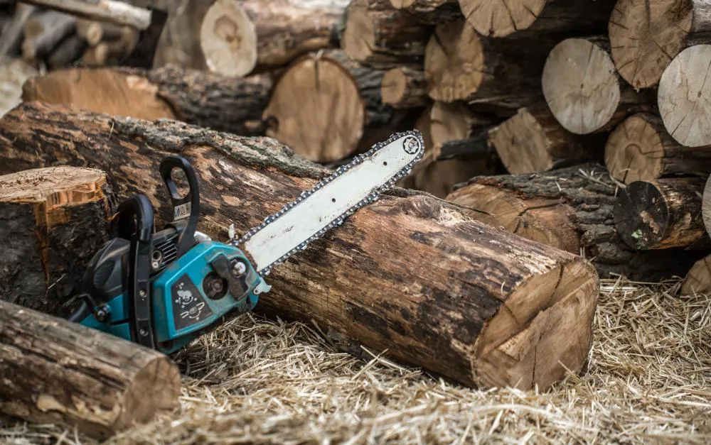 Tree wood with a chainsaw