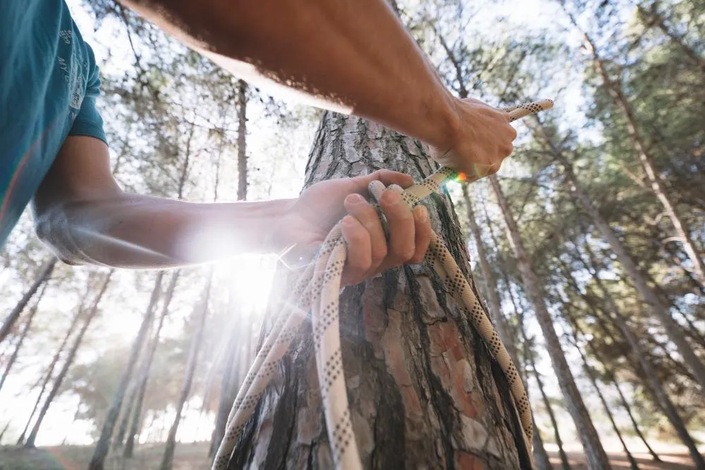 Close-up of an arborist’s hands tying a rope around a tree trunk in a sunlit forest. The rope is secured tightly, suggesting preparation for climbing or rigging. Sunlight filters through the trees, highlighting the natural setting and the precision of the task.