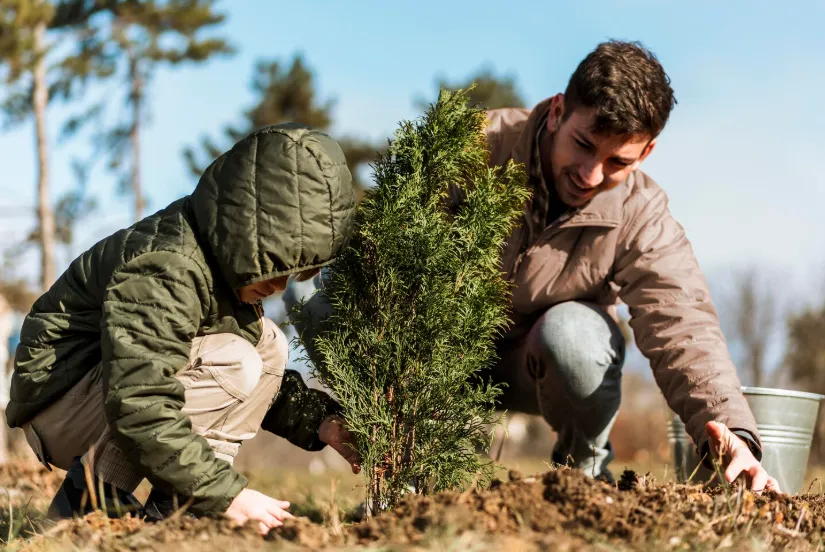 Man and child dressed in warm jackets planting a young evergreen tree together in a sunlit outdoor field, symbolizing family involvement and environmental stewardship.