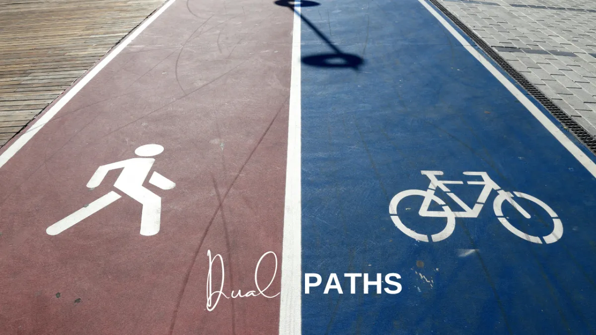 The Dual Paths of Product Development: Understanding Internal and External Dynamics