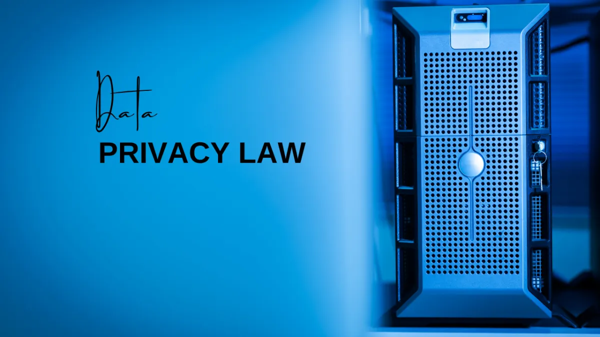 Balancing Innovation and Regulation: Navigating Data Privacy Laws
