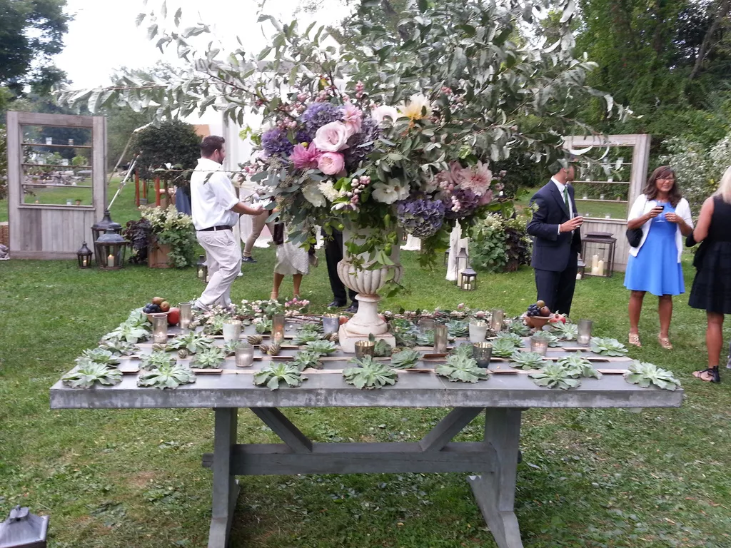 Nature as Inspiration: Event Design Lessons from Nature