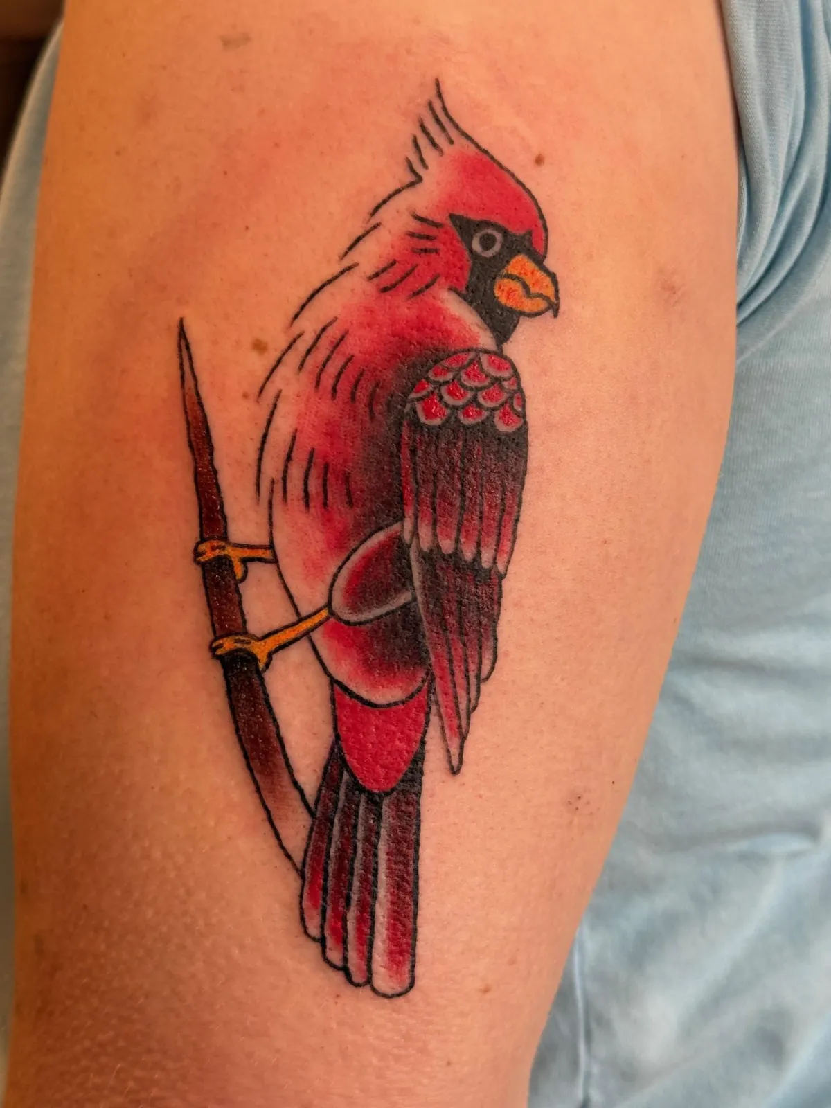 traditional red cardinal bird tattoo