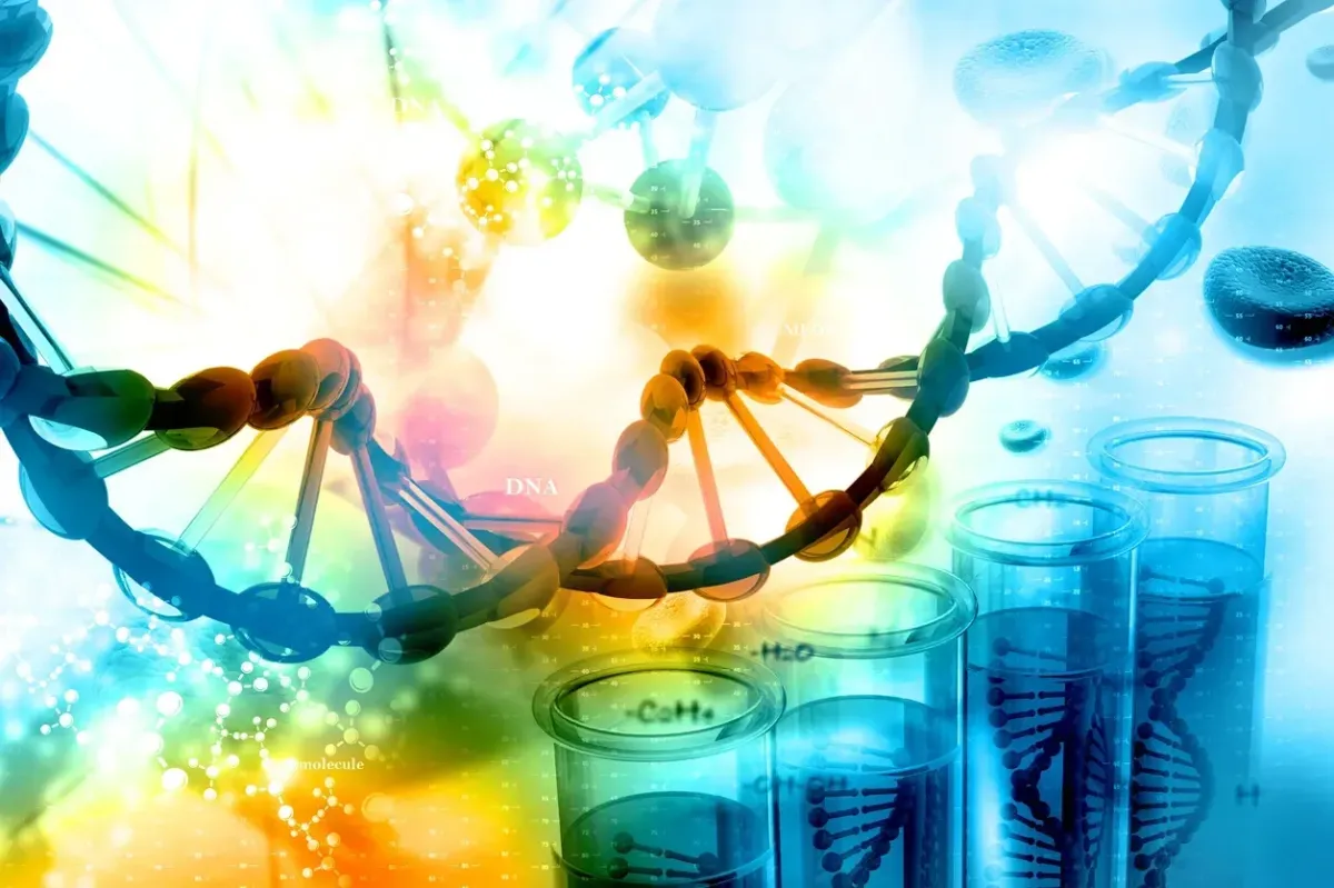 Bioidentical vs. Synthetic Hormones: Is One Really Safer?