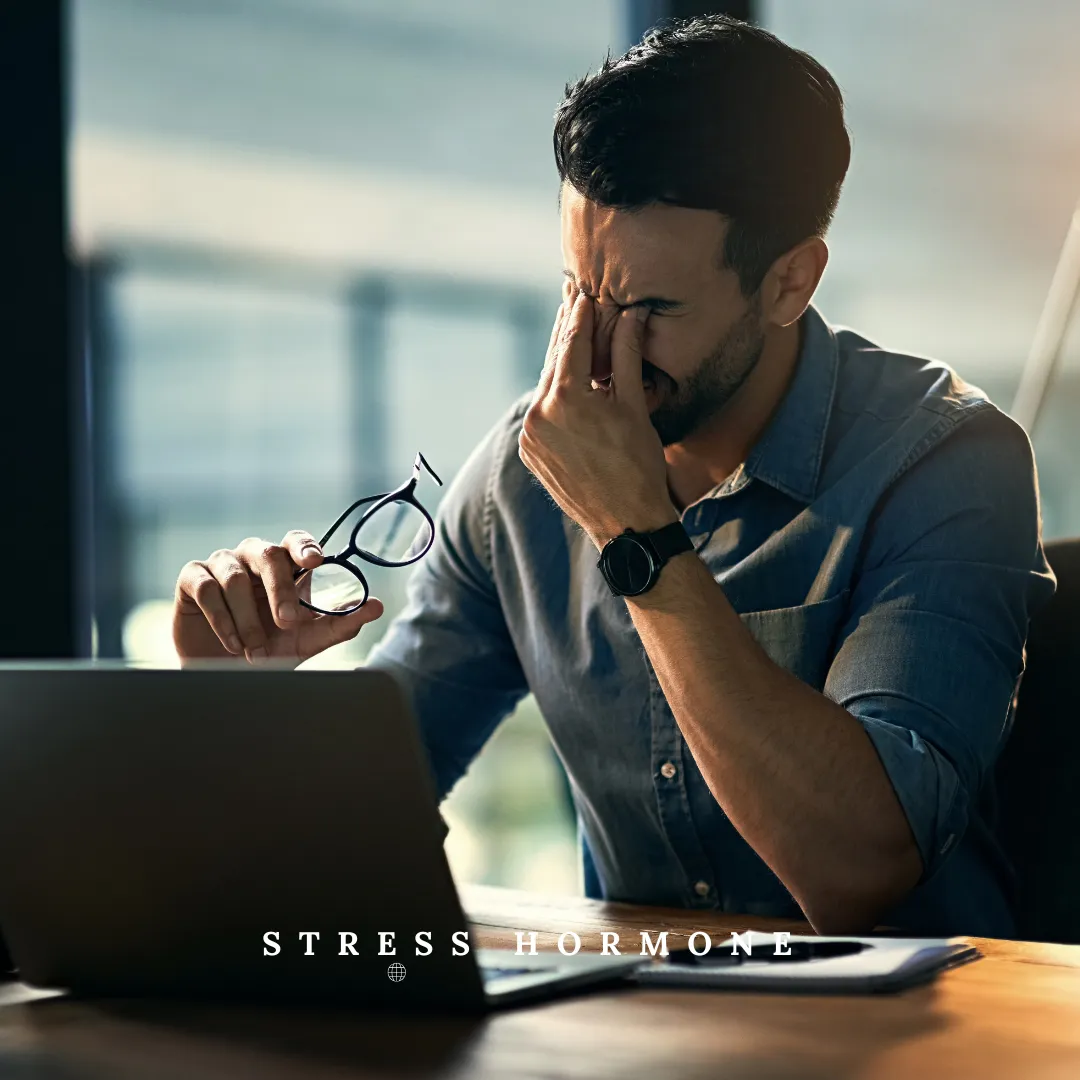 The Secret Schedule of Your Stress Hormone: Why Cortisol Testing Timing Is Everything
