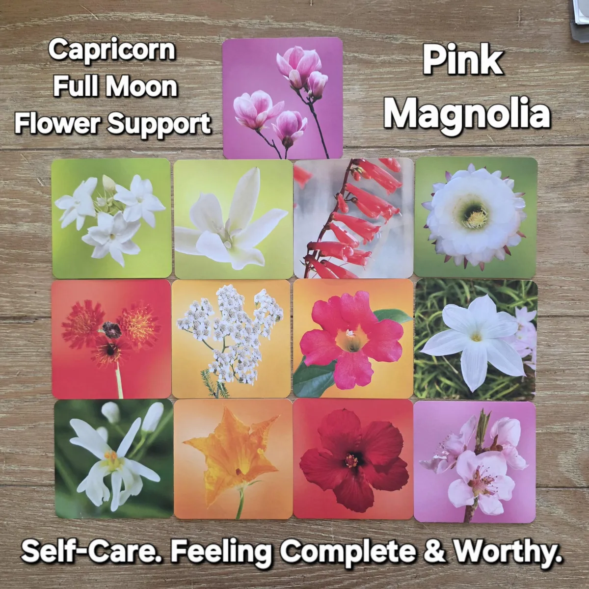 Capricorn Full Moon + Gene Key 53 + Pink Magnolia