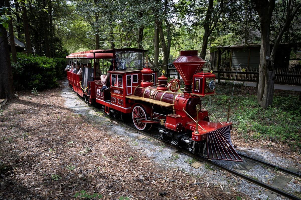 Choo-Choo for Conservation: Zoo Atlanta’s Safari Express Unveiled!
