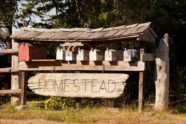 Homestead
