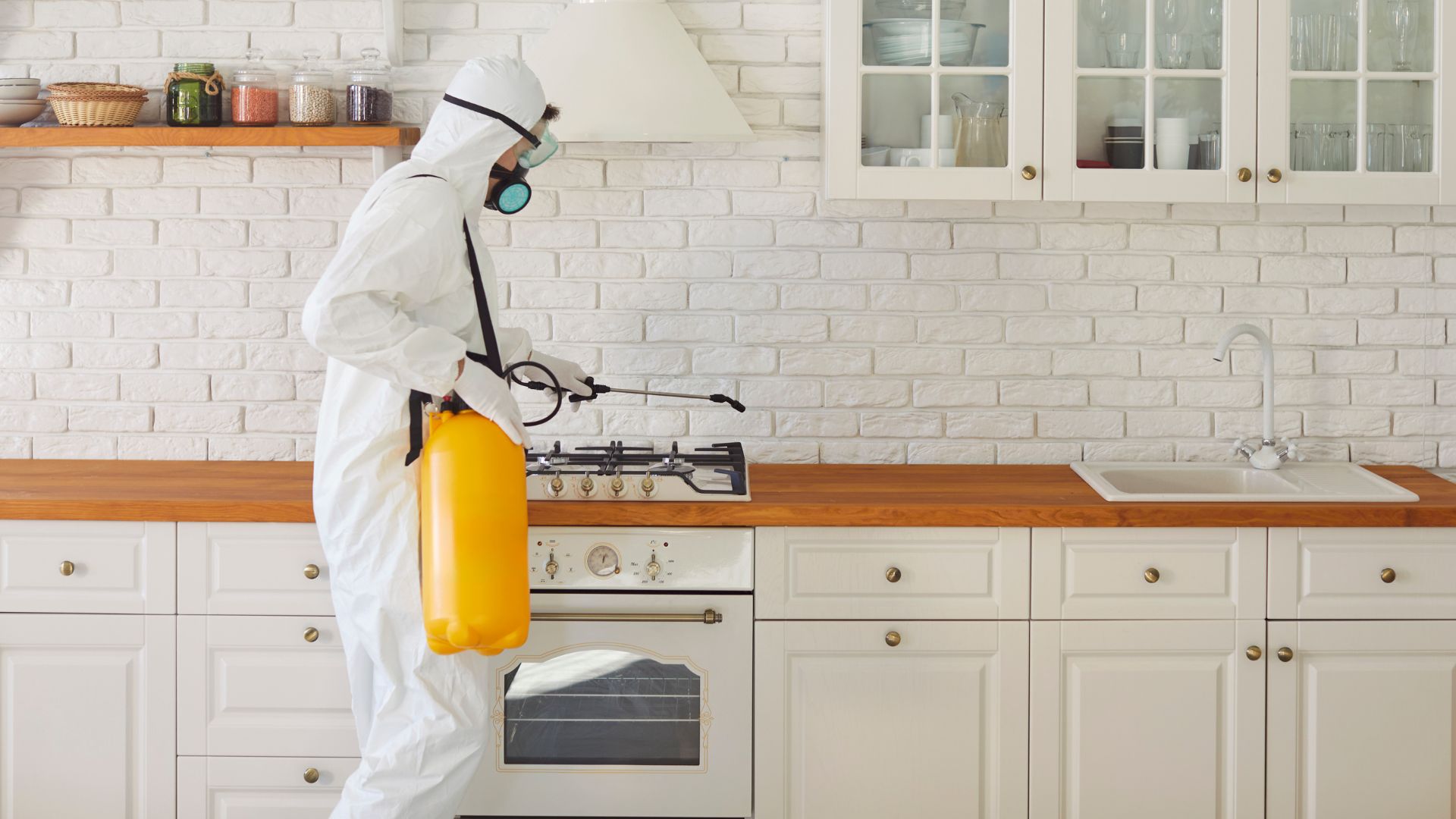 Top 10 Pest Control Companies in Pakistan – Ranked by Performance (2025 Guide)