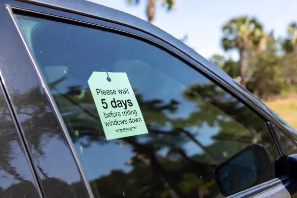 Close-up of a freshly tinted car window at Ultimate Shade Tint in Ocala, Florida, showing a green hang-tag that reads 'Please wait 5 days before rolling windows down' – Florida palm trees and summer sunlight in the background