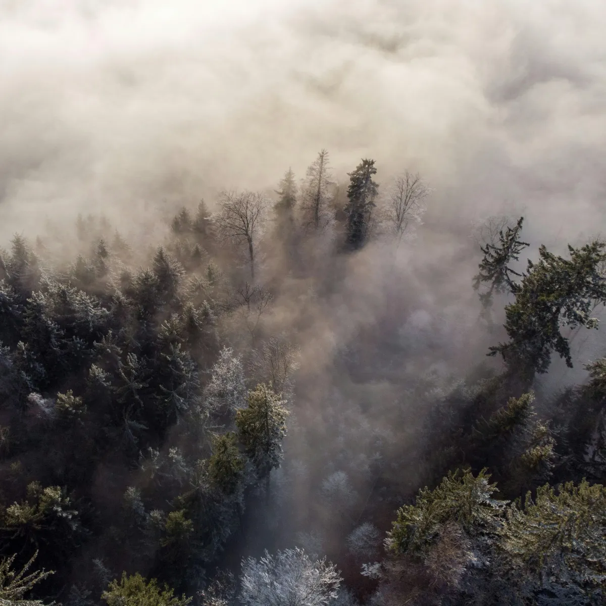 Clouds cover mountains