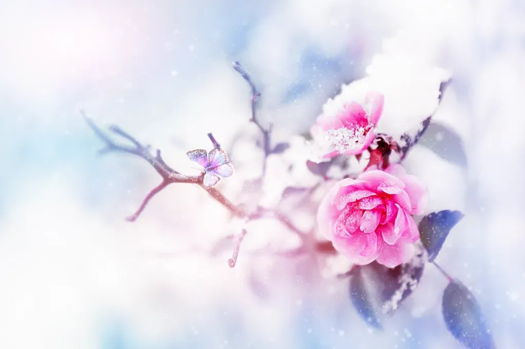 An artist's rendering of pink flowers perched on a branch, a butterfly is nearby, and snow is falling