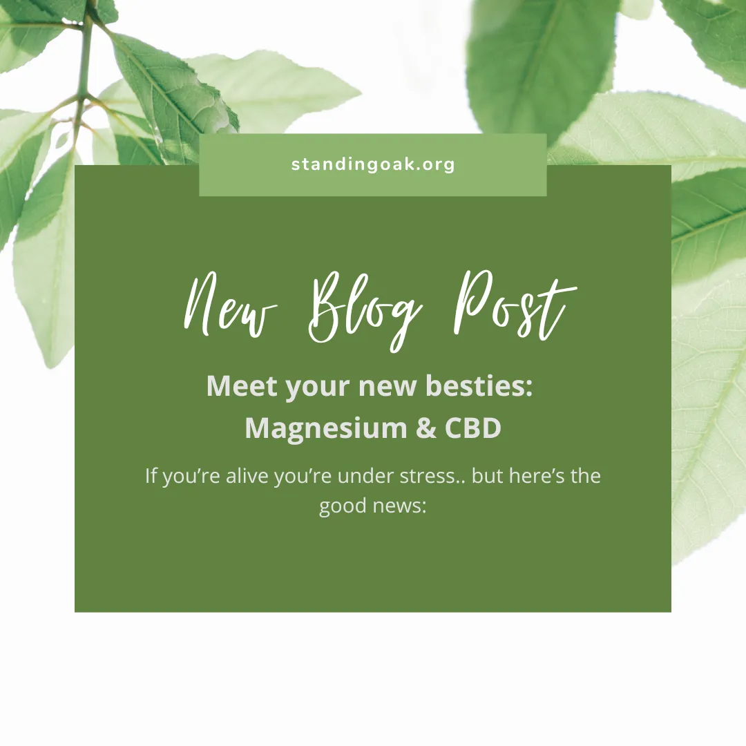 Meet Your New Besties: Magnesium & CBD