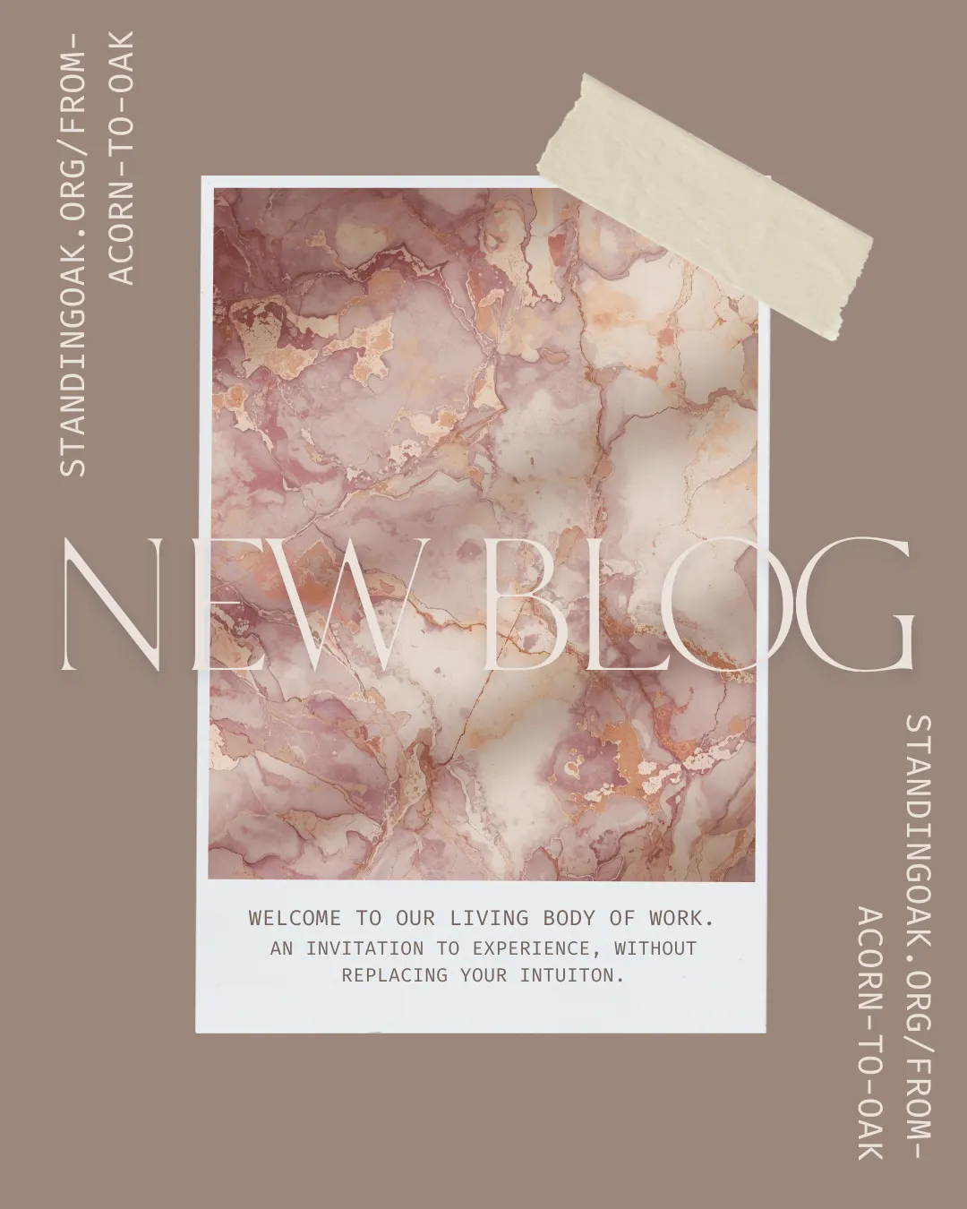 Standing Oak Welcomes You to the Living Body