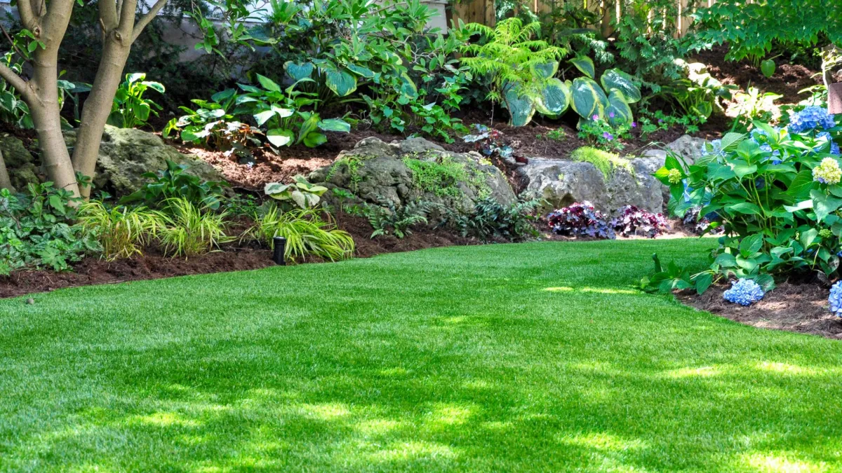 Photo Of A Lush Lawn