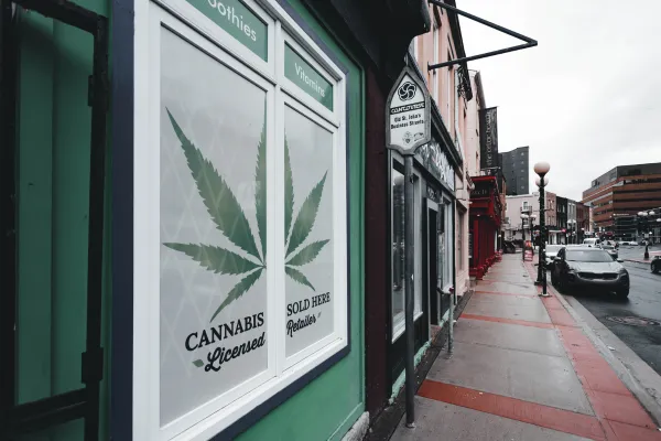 Why Specialized Cannabis CPA Support Makes a Difference