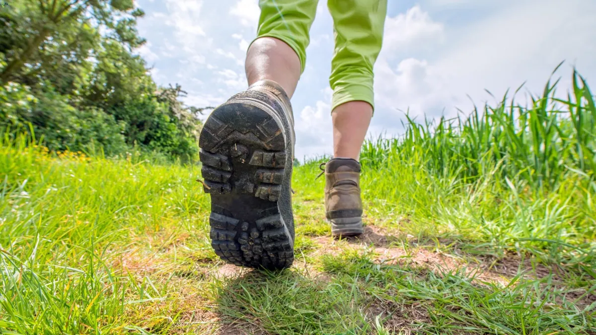 "Patellar Tendinopathy in Runners: Signs, Symptoms, Causes, and Effective Treatments"