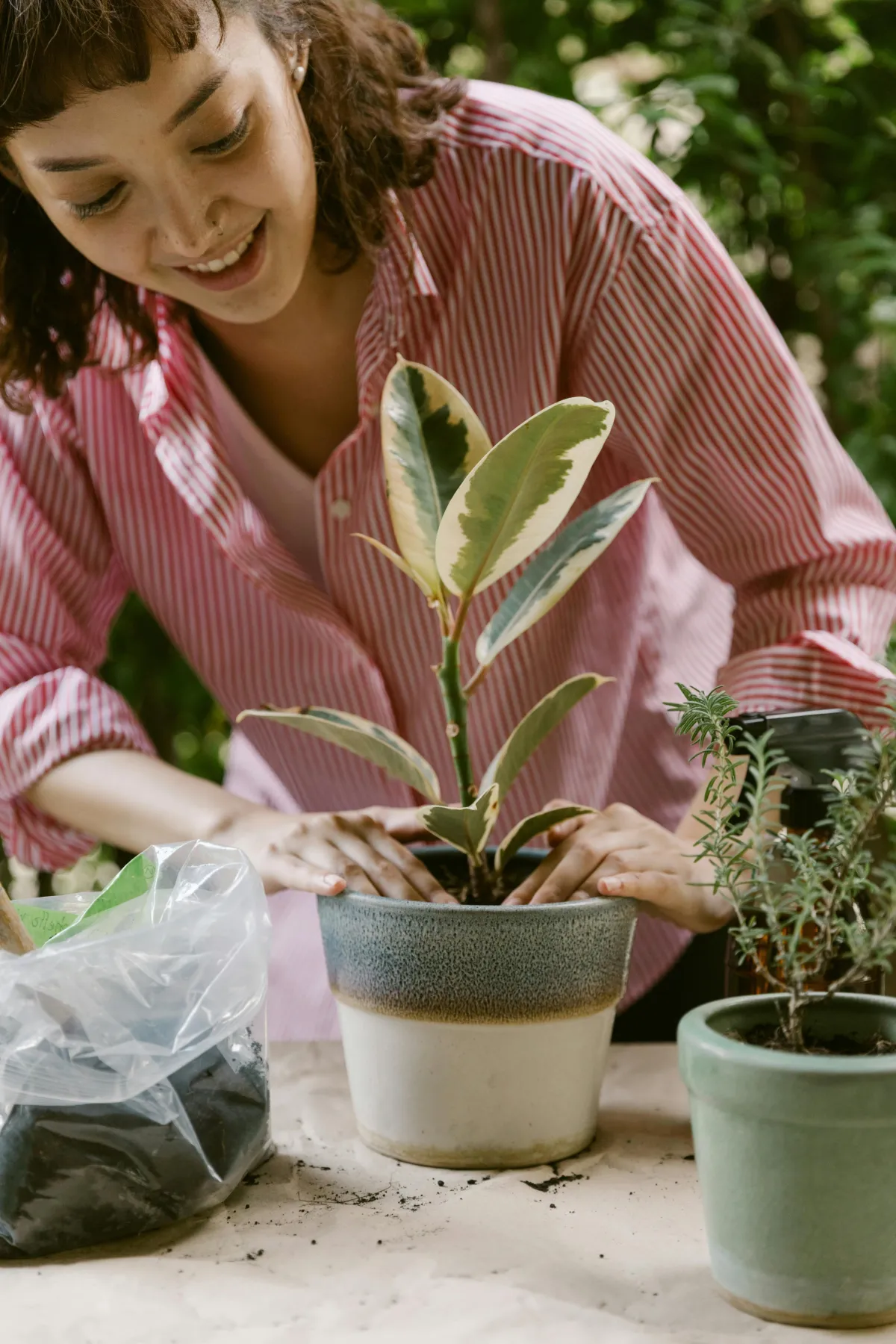 Indoor Plants for a Healthier Home: Enhancing Air Quality and Mood