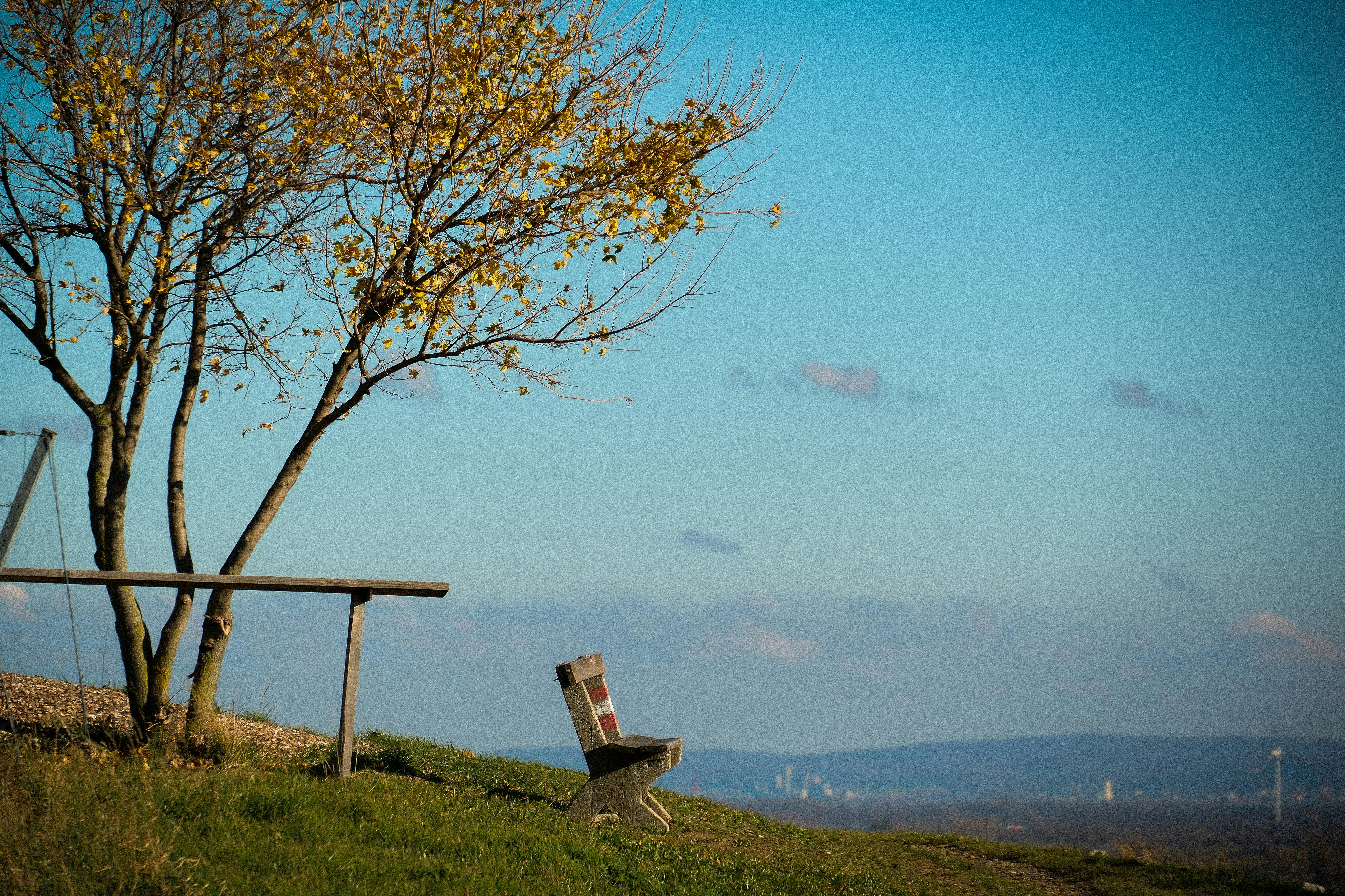 The Power of Small Positive Habits That Change Everyday Experiences