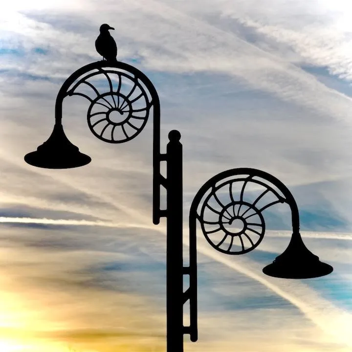 Bird spotted on ammonite lamp post Lyme Regis