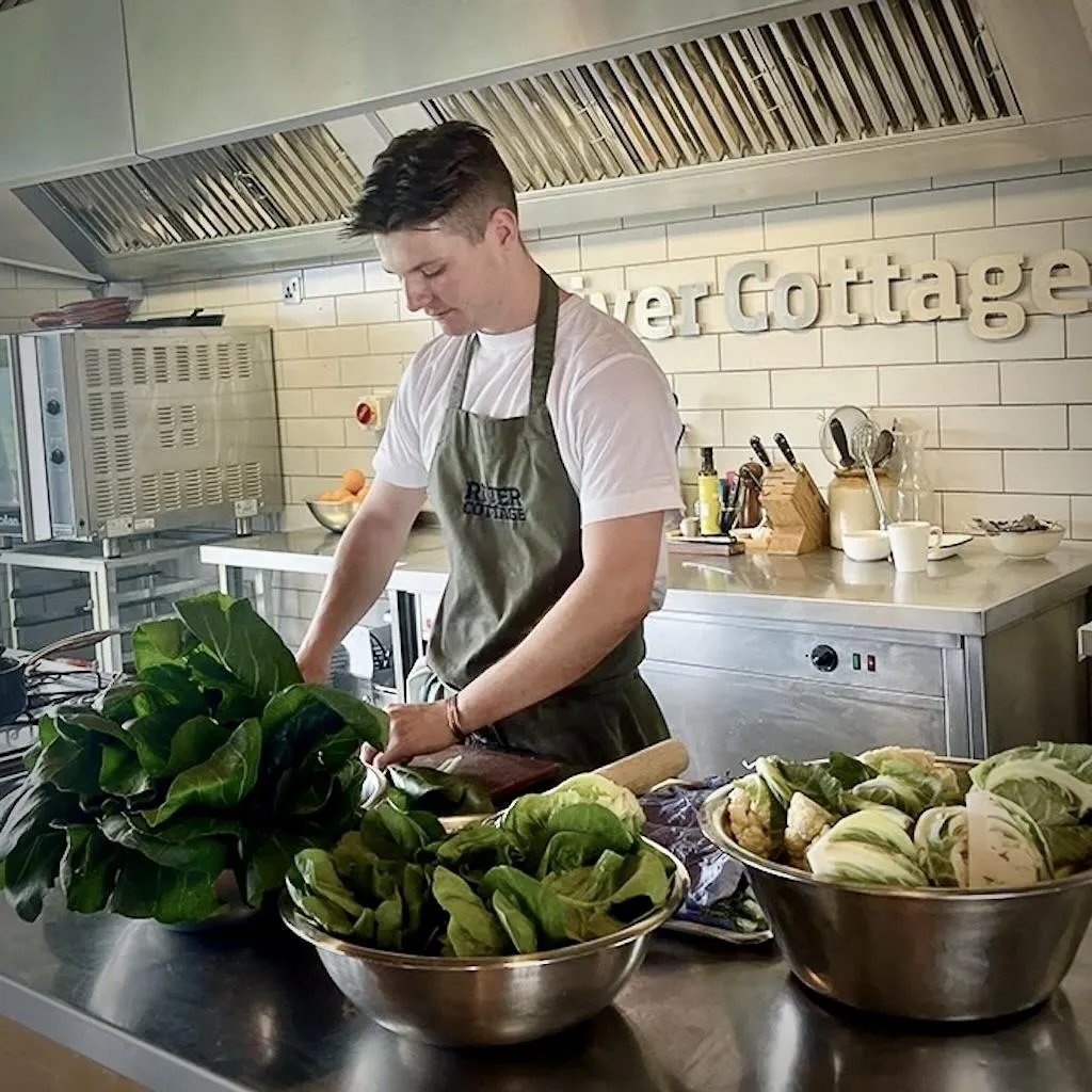 River Cottage kitchen garden and classroom