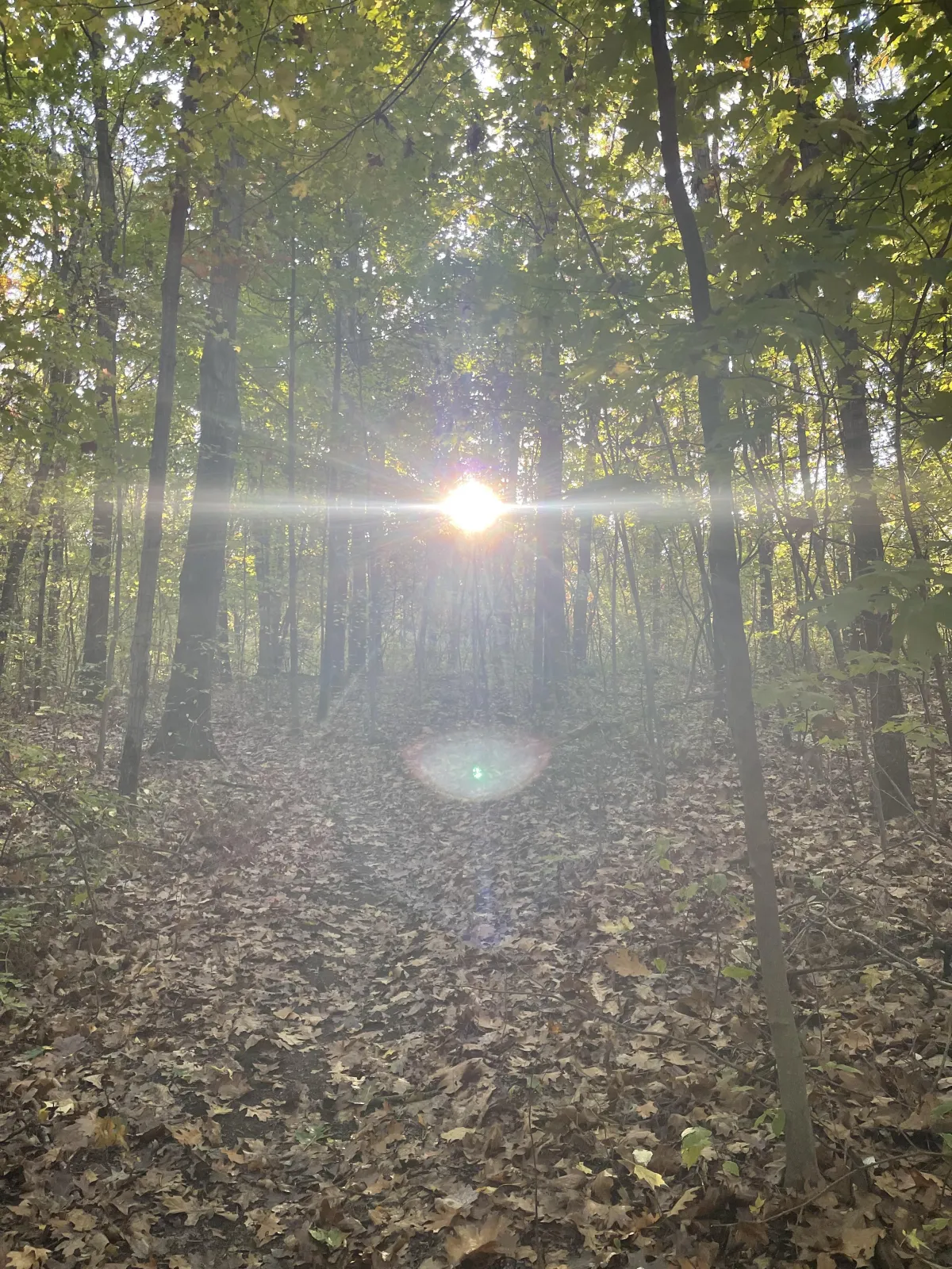 I Saw an Angel This Morning (Because I Almost Didn't Get Out of Bed)