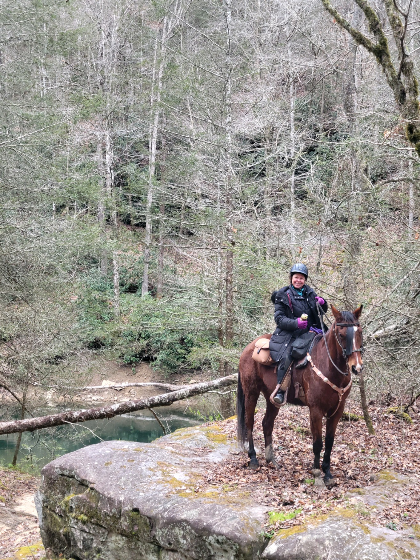 I Was Crawling Up the Stairs, Crying. Here's What I Learned."