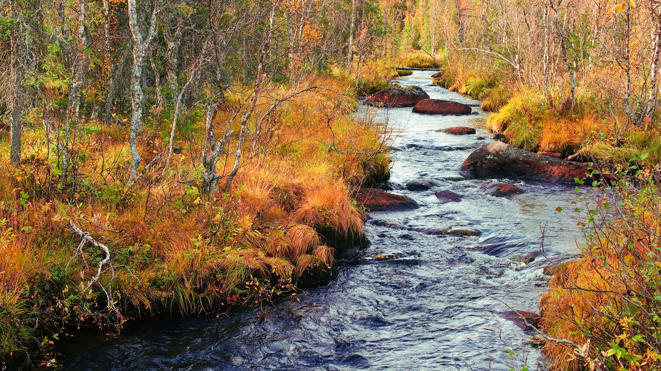 Conservation Matters: Protecting New Hampshire’s Most Valuable Resource
